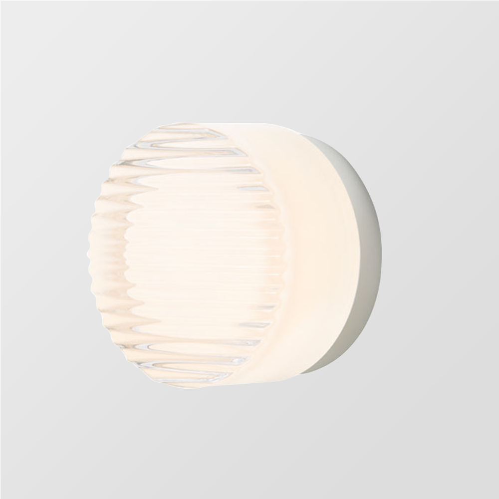 Modern Indoor/Outdoor LED Wall Light