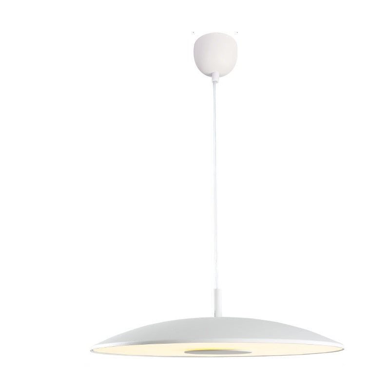 Iron Nickel LED Pendant Lights