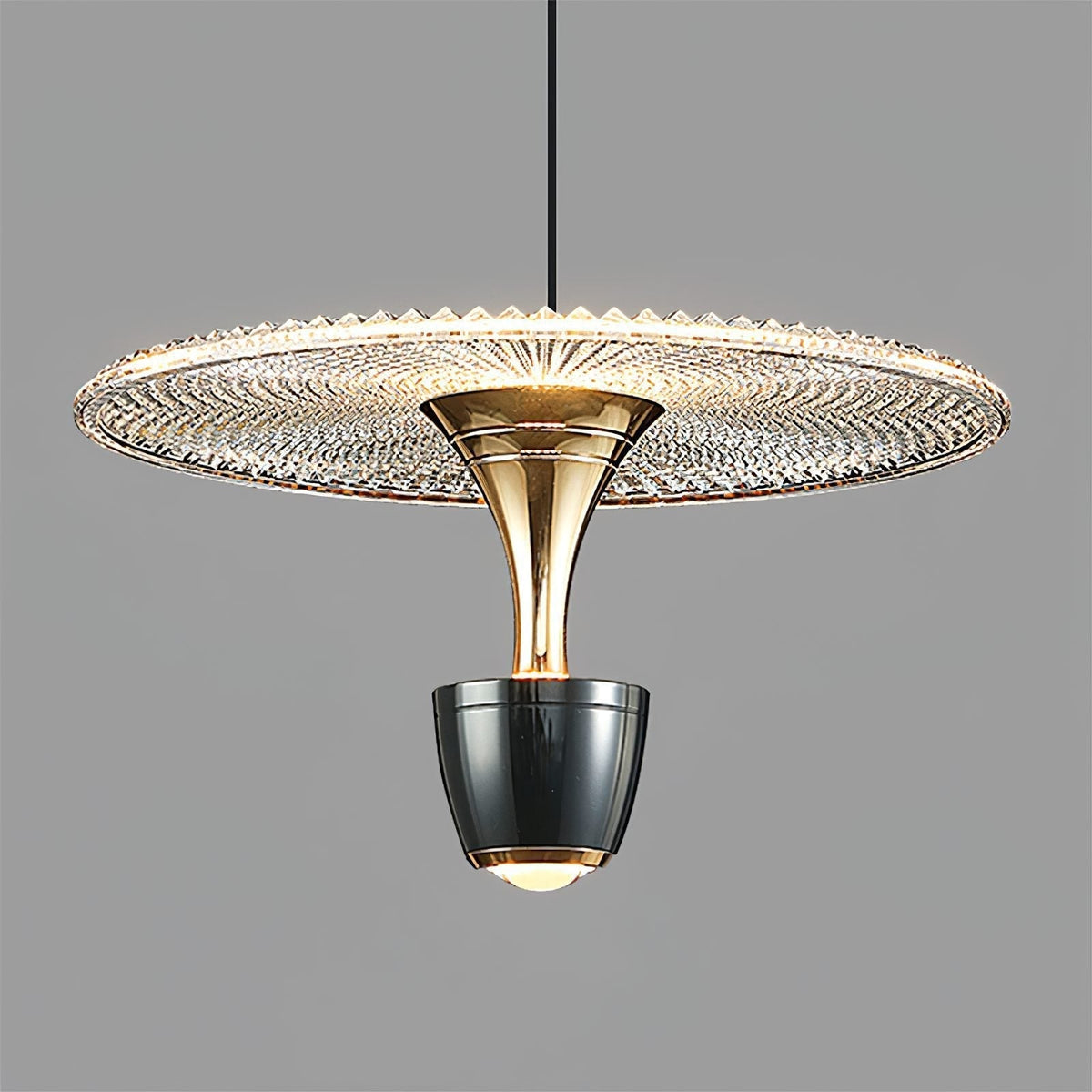Modern LED Disc Pendant Light