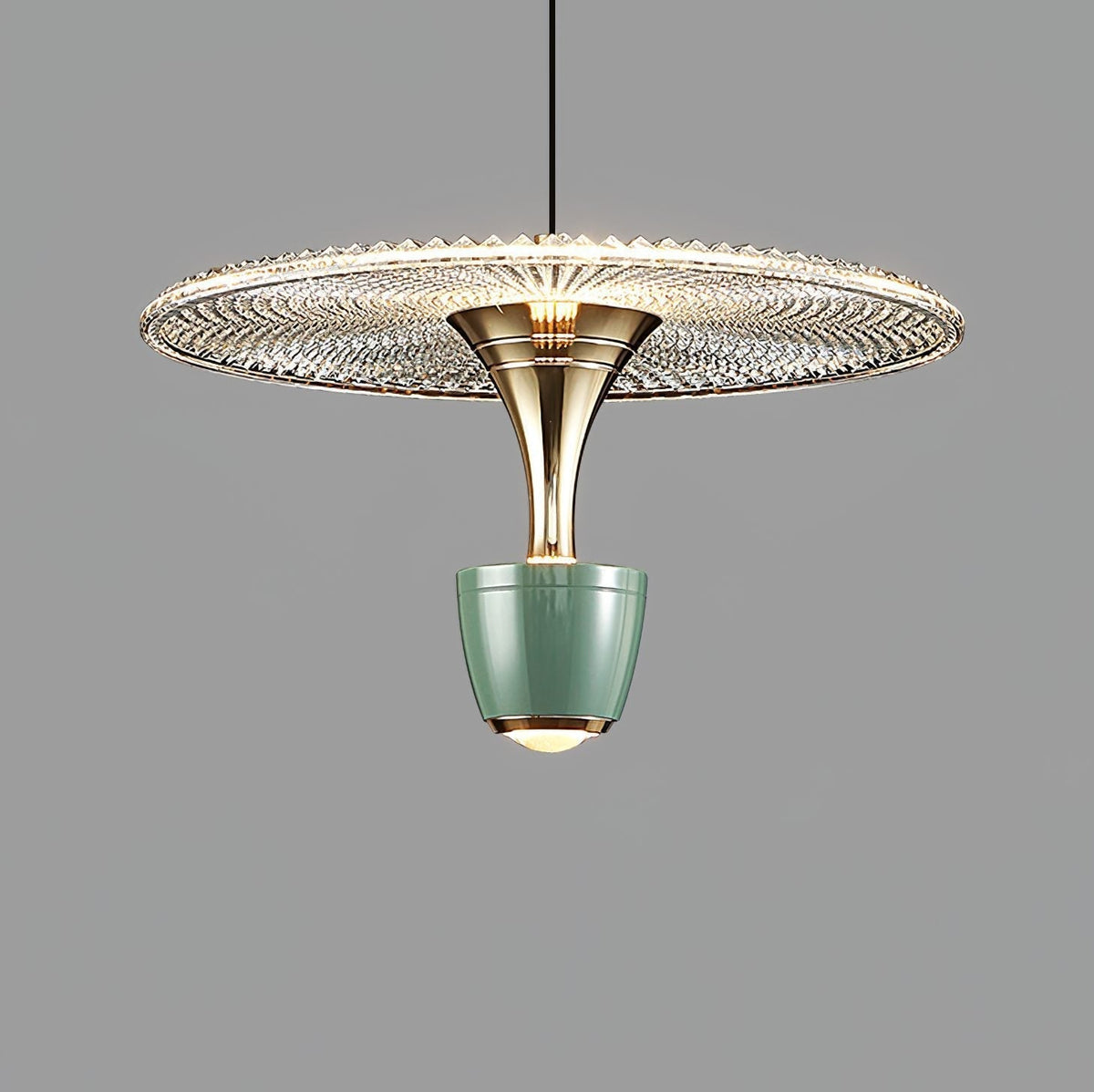 Modern LED Disc Pendant Light