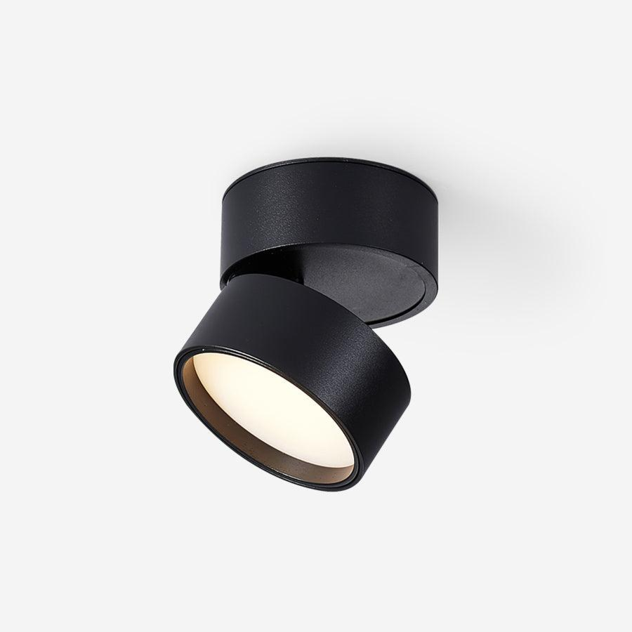 Favilla Surface Ceiling Light