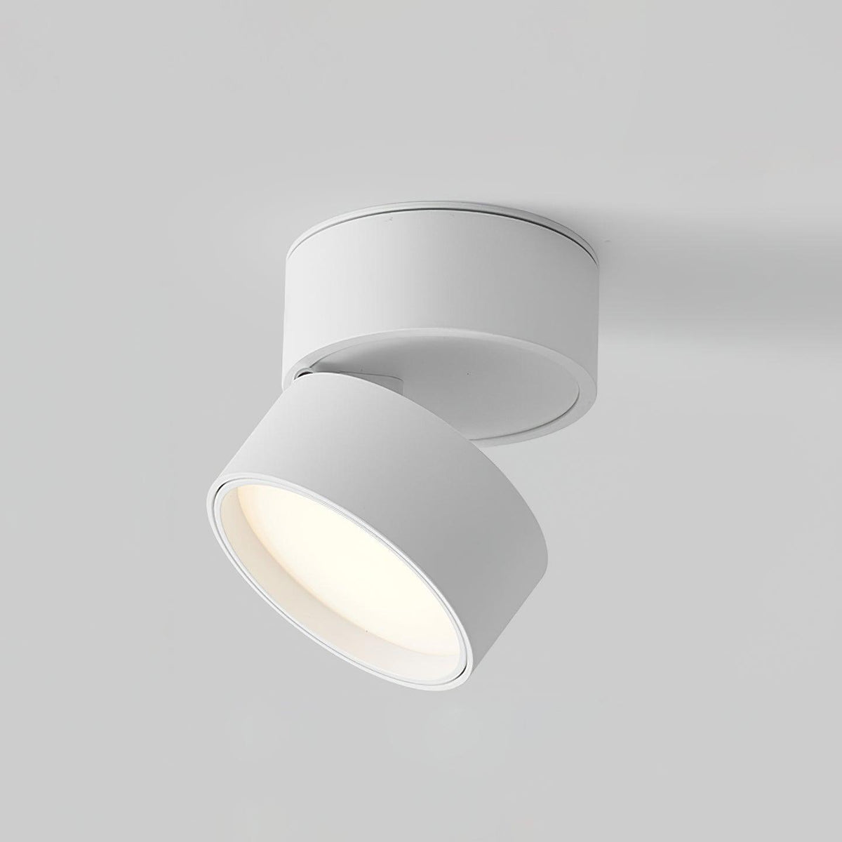 Favilla Surface Ceiling Light