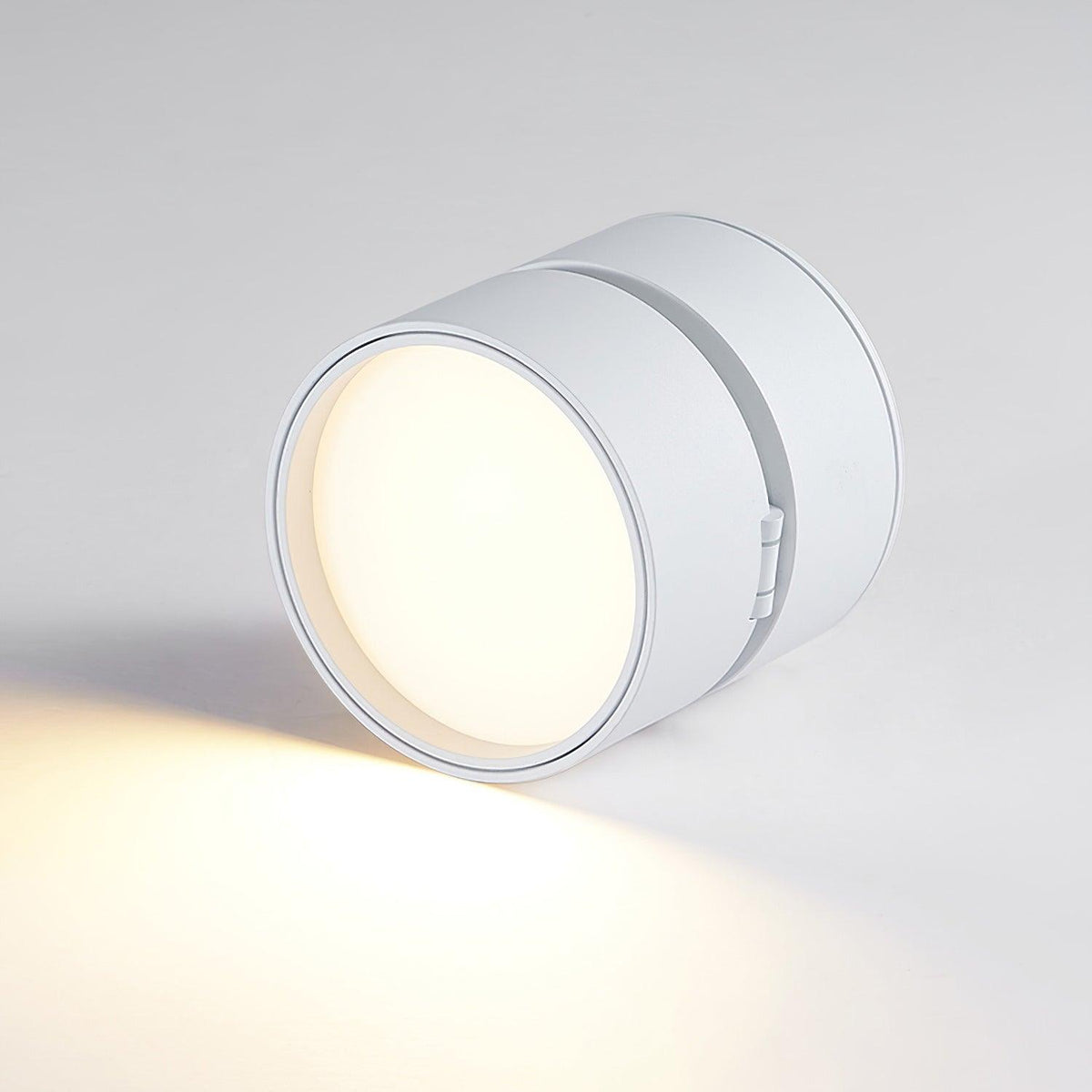 Favilla Surface Ceiling Light