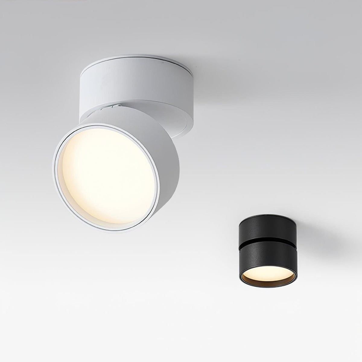 Favilla Surface Ceiling Light