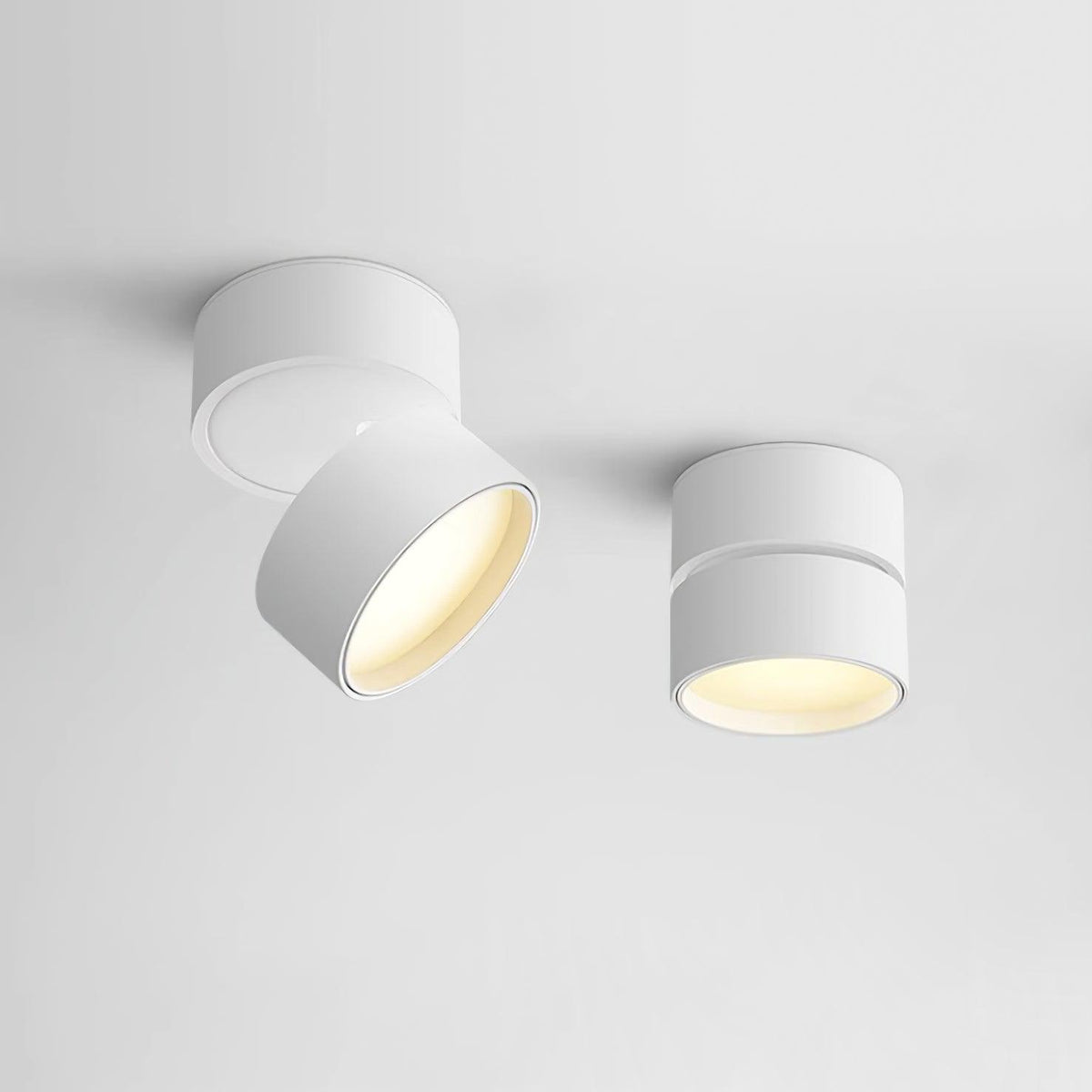 Favilla Surface Ceiling Light