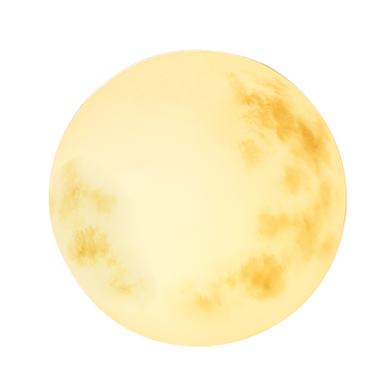 Moon Garden Hanging Light