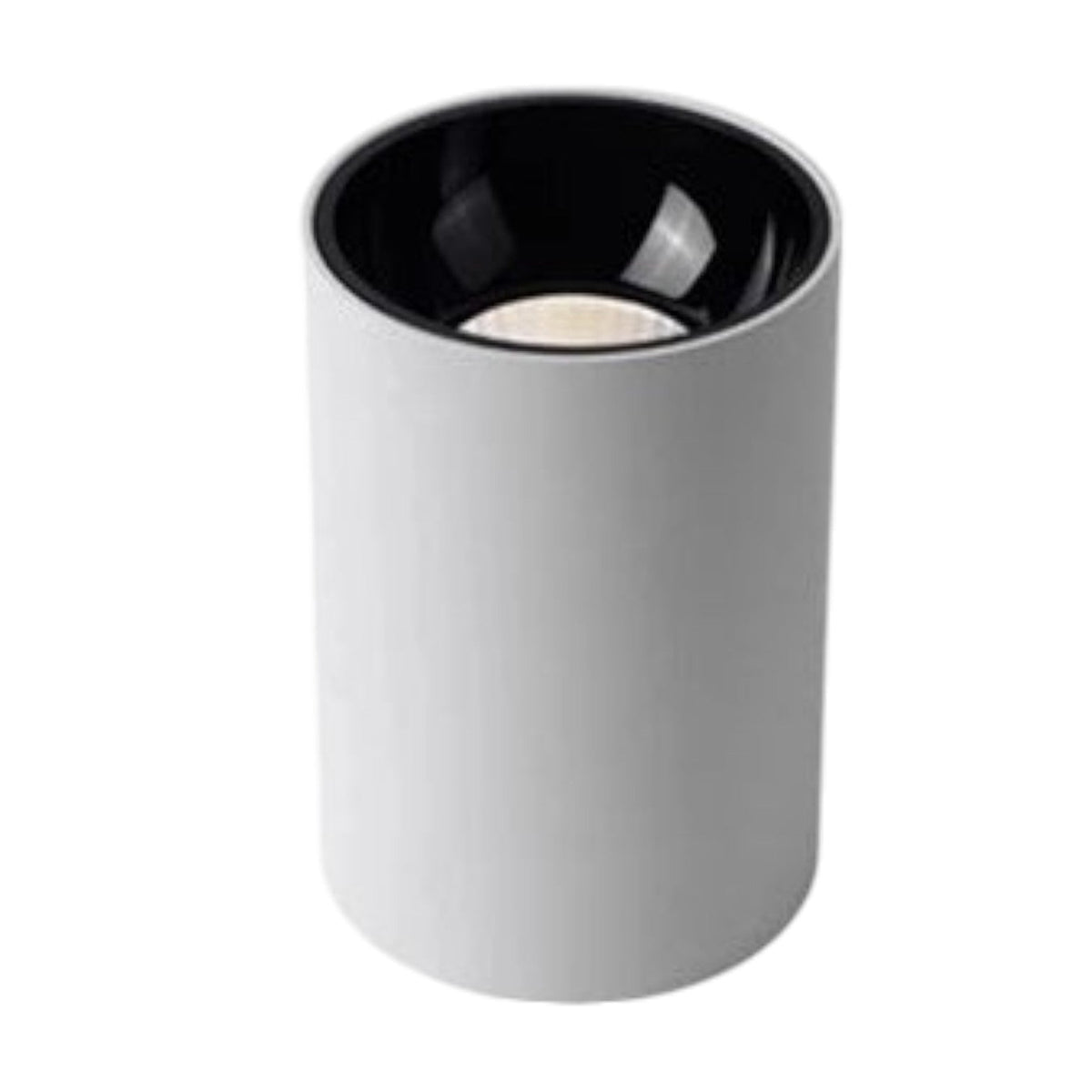Round COB Ceiling Lights