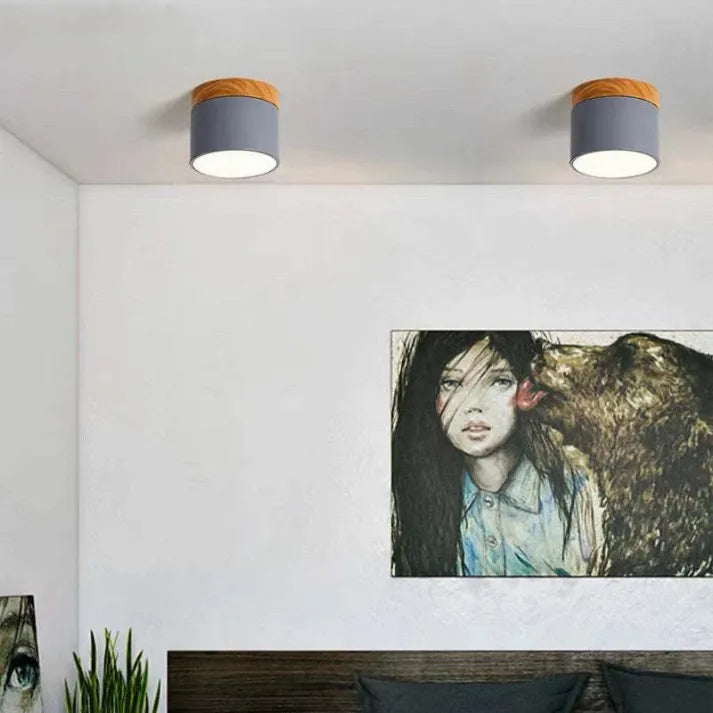 Scandinavian Cylinder LED Ceiling Lights