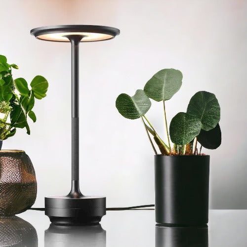 Stellarglo Modern LED Table Lamp