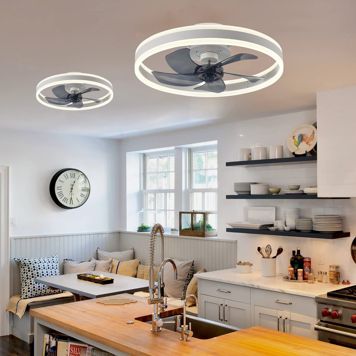 Fan Ceiling Light