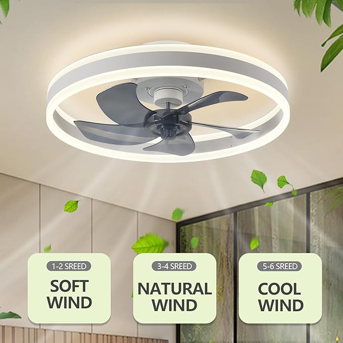 Fan Ceiling Light