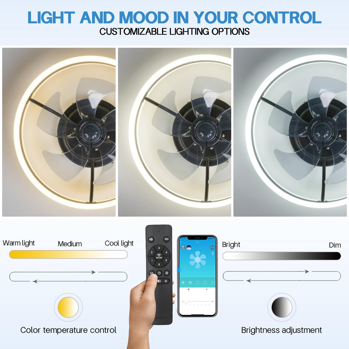 Fan Ceiling Light