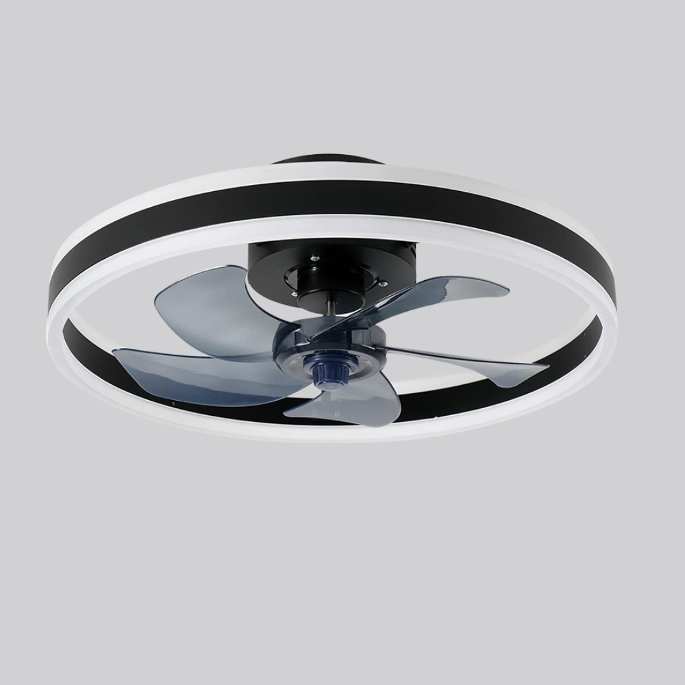 Fan Ceiling Light