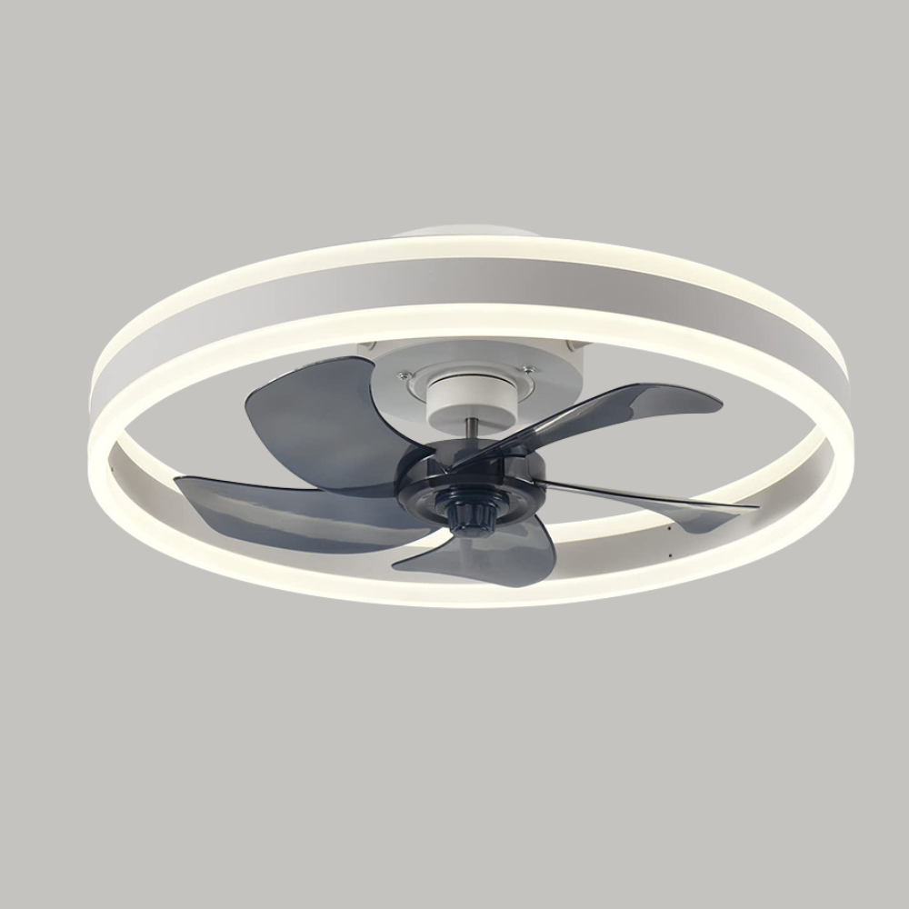 Fan Ceiling Light