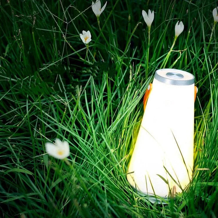 Portable LED Camping Light